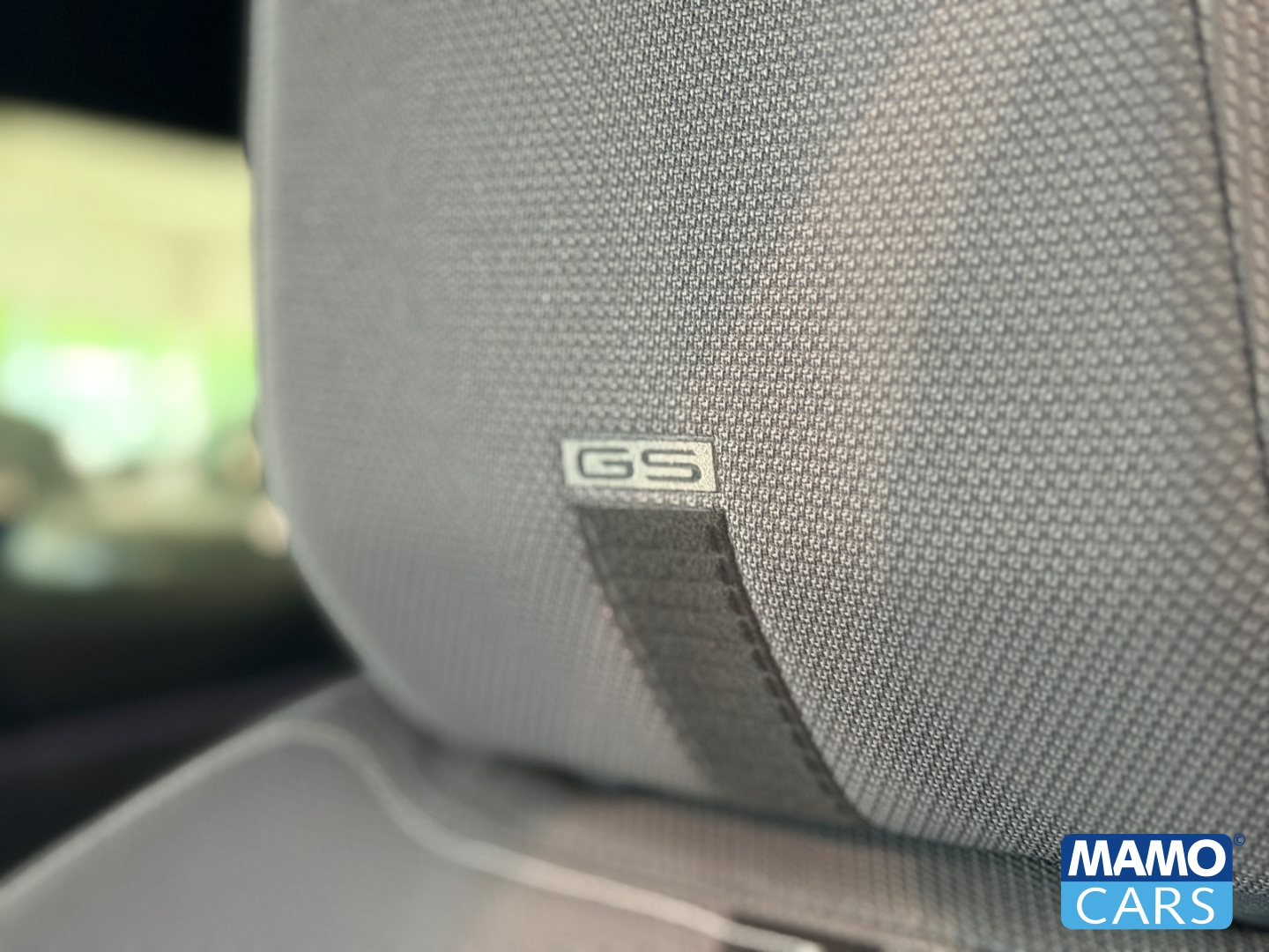 Fahrzeugabbildung Opel Grandland Electric GS NAVI/360°/WP/BLIS/LED