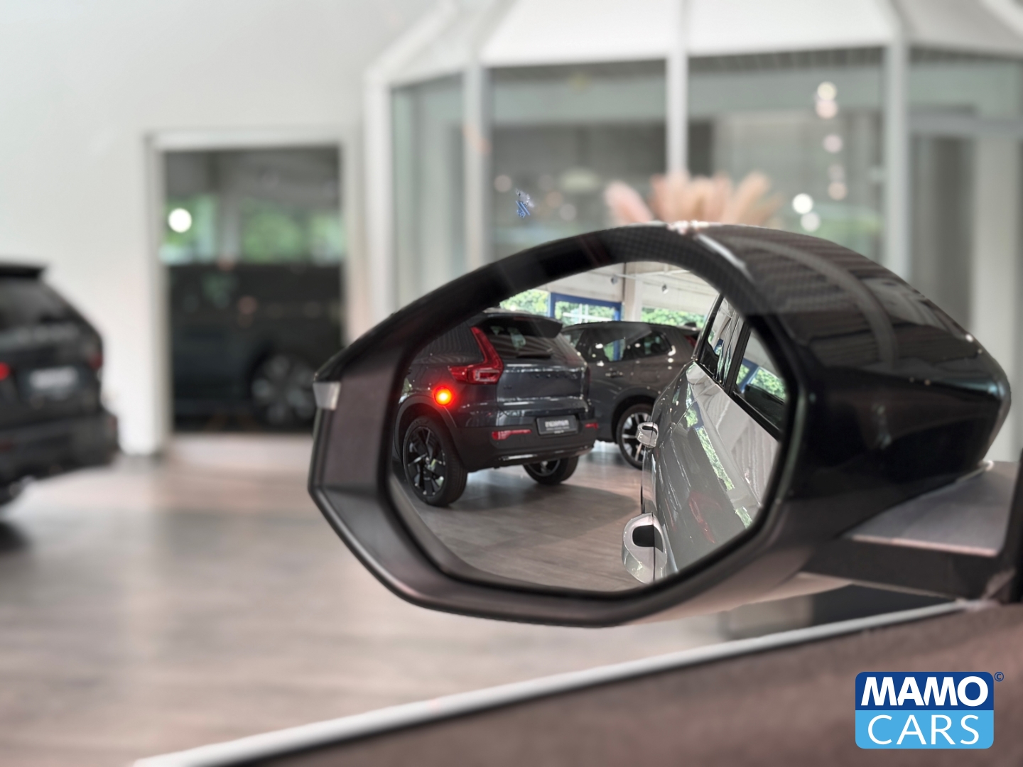 Fahrzeugabbildung Opel Grandland Electric GS NAVI/360°/WP/BLIS/LED