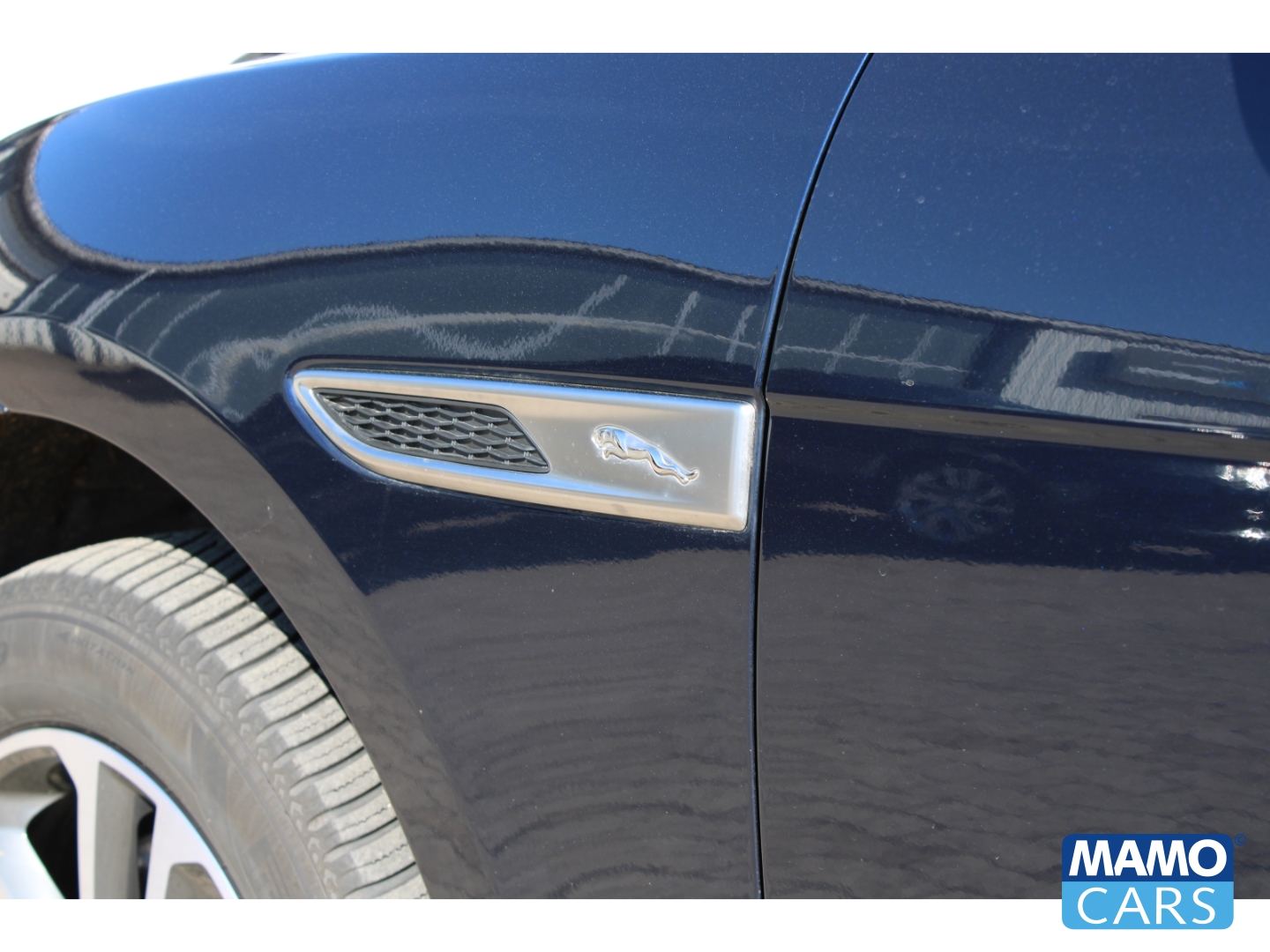 Fahrzeugabbildung Jaguar F-Pace SE AWD AHK/Pixel/Allwetter/Memory/Portofino